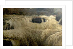 Salmon Leap, Cenarth Falls, Cardiganshire, Wales, 1878 by George Frank Miles