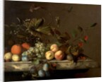 Fruit Piece with Dragonfly, 1692 by Barend or Bernardus van der Meer