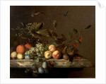 Fruit Piece with Dragonfly, 1692 by Barend or Bernardus van der Meer