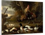 Two Fowls and Ducks on a Pond by Melchior de Hondecoeter