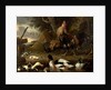 Two Fowls and Ducks on a Pond by Melchior de Hondecoeter