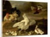 Cock and Hen with Chickens and Pigeons by Johannes Spruyt