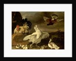 Cock and Hen with Chickens and Pigeons by Johannes Spruyt