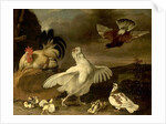 Cock and Hen with Chickens and Pigeons by Johannes Spruyt