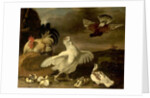 Cock and Hen with Chickens and Pigeons by Johannes Spruyt