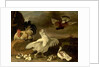Cock and Hen with Chickens and Pigeons by Johannes Spruyt