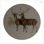 Deer in a Landscape by Edwin Landseer