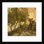 Gathering Oranges, 1929 by Henry Herbert La Thangue