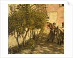 Gathering Oranges, 1929 by Henry Herbert La Thangue