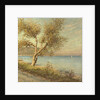 The Mulberry Tree by Henry Herbert La Thangue