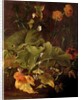 Dock Leaves and Other Flowers, c.1820 by James Sillett