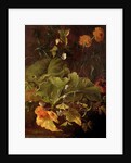 Dock Leaves and Other Flowers, c.1820 by James Sillett