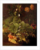 Dock Leaves and Other Flowers, c.1820 by James Sillett