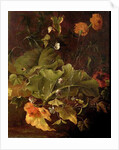 Dock Leaves and Other Flowers, c.1820 by James Sillett