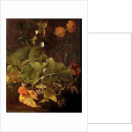 Dock Leaves and Other Flowers, c.1820 by James Sillett