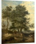 Trees by a Brook, c.1818 by John Crome