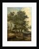Trees by a Brook, c.1818 by John Crome