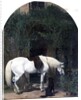 White Horse and Retriever by Alfred Hichens Corbould
