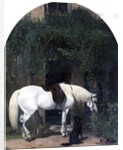 White Horse and Retriever by Alfred Hichens Corbould