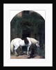 White Horse and Retriever by Alfred Hichens Corbould