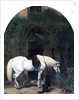 White Horse and Retriever by Alfred Hichens Corbould
