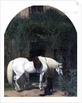 White Horse and Retriever by Alfred Hichens Corbould