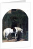 White Horse and Retriever by Alfred Hichens Corbould