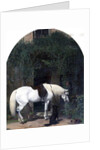 White Horse and Retriever by Alfred Hichens Corbould