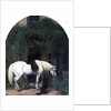 White Horse and Retriever by Alfred Hichens Corbould