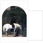 White Horse and Retriever by Alfred Hichens Corbould