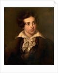 Portrait of a Boy by Thomas Lawrence