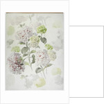 Carpet design by English School