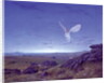 The Moors by Simon Cook