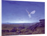 The Moors by Simon Cook