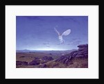The Moors by Simon Cook