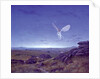 The Moors by Simon Cook