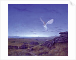 The Moors by Simon Cook