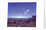 The Moors by Simon Cook