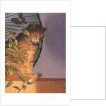 Contemplation by Simon Cook