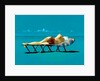 Sunbather by Simon Cook