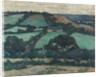 Brimley Hill, Devon, 1914-16 by Robert Polhill Bevan