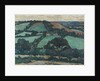 Brimley Hill, Devon, 1914-16 by Robert Polhill Bevan