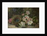 Bird's Nest with Apple and Hawthorn Blossom, 1893 by Oliver Clare