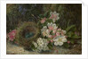 Bird's Nest with Apple and Hawthorn Blossom, 1893 by Oliver Clare