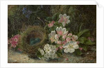 Bird's Nest with Apple and Hawthorn Blossom, 1893 by Oliver Clare