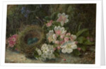 Bird's Nest with Apple and Hawthorn Blossom, 1893 by Oliver Clare