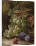 Bunch of Grapes, 1893 by Oliver Clare