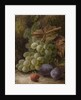 Bunch of Grapes, 1893 by Oliver Clare