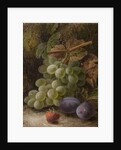 Bunch of Grapes, 1893 by Oliver Clare