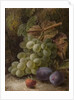Bunch of Grapes, 1893 by Oliver Clare